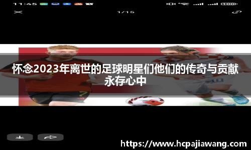 必一运动b-sports官方网站